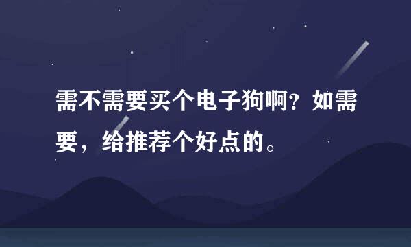 需不需要买个电子狗啊？如需要，给推荐个好点的。