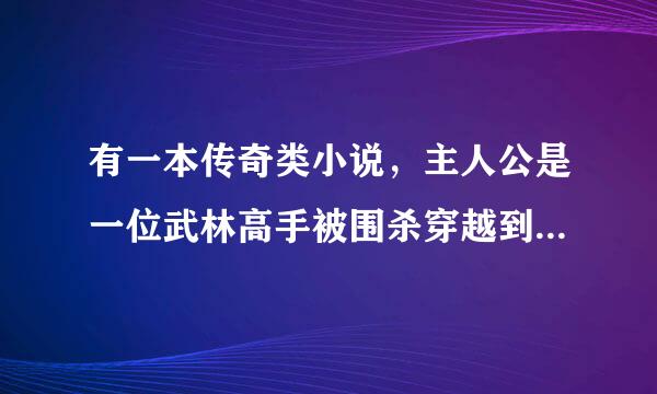 有一本传奇类小说，主人公是一位武林高手被围杀穿越到一个传奇世界，发现他的一个好兄弟也在那里……这是