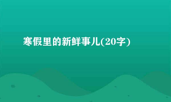 寒假里的新鲜事儿(20字)