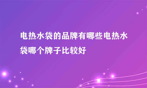 电热水袋的品牌有哪些电热水袋哪个牌子比较好