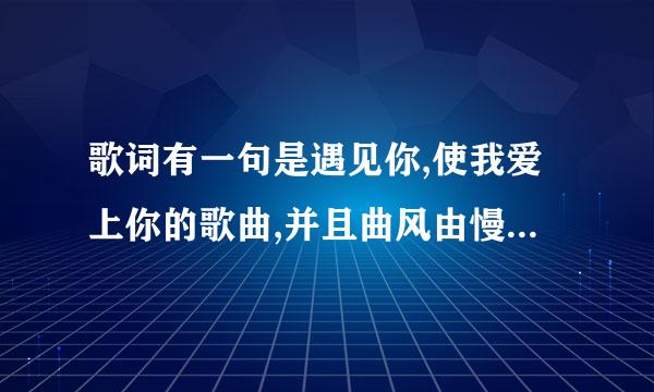 歌词有一句是遇见你,使我爱上你的歌曲,并且曲风由慢到快，一个男的唱的，中文歌，请各位大神告诉我歌名