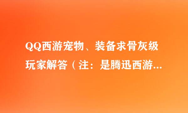 QQ西游宠物、装备求骨灰级玩家解答（注：是腾迅西游不是多玩西游）