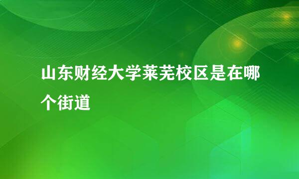 山东财经大学莱芜校区是在哪个街道