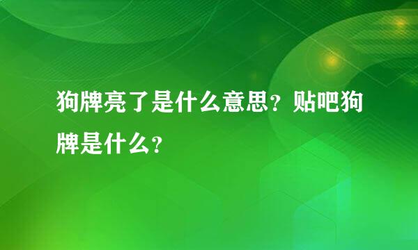 狗牌亮了是什么意思？贴吧狗牌是什么？