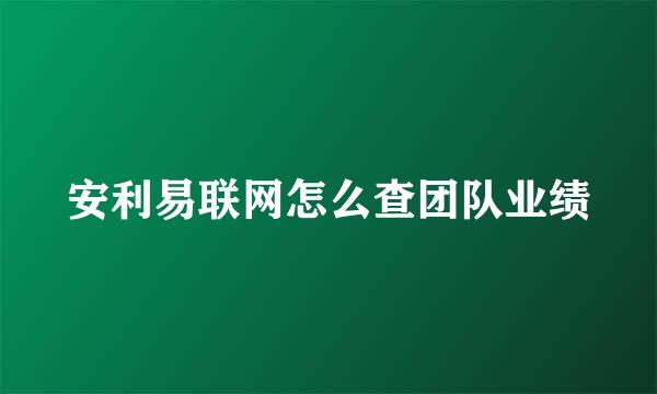 安利易联网怎么查团队业绩