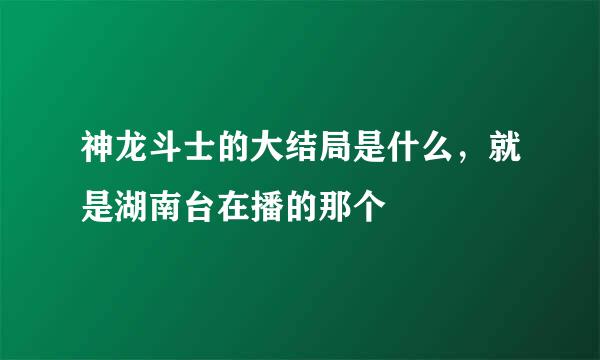 神龙斗士的大结局是什么，就是湖南台在播的那个