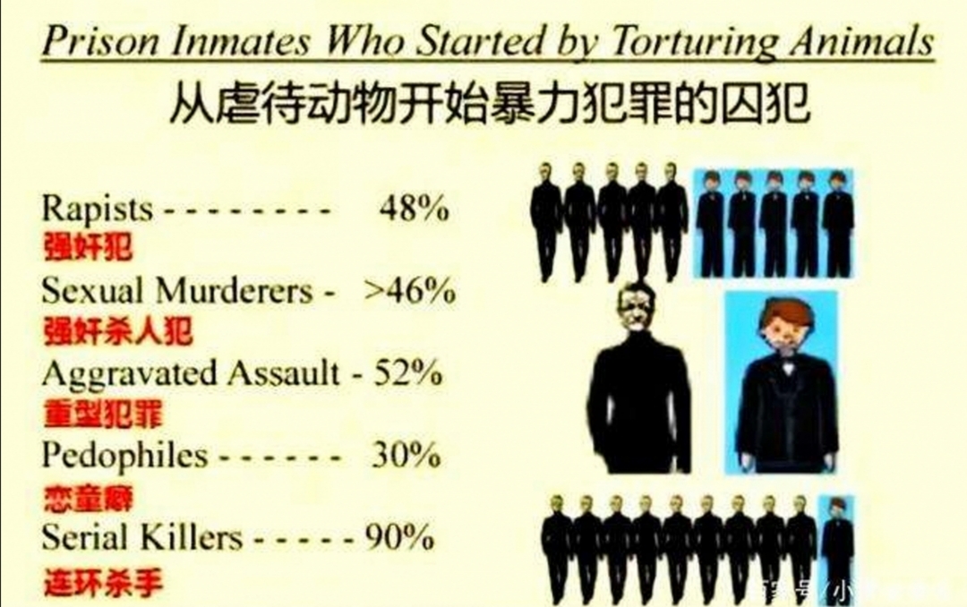 福州大学回应“准研究生疑似虐狗”，当事人为何这么做？