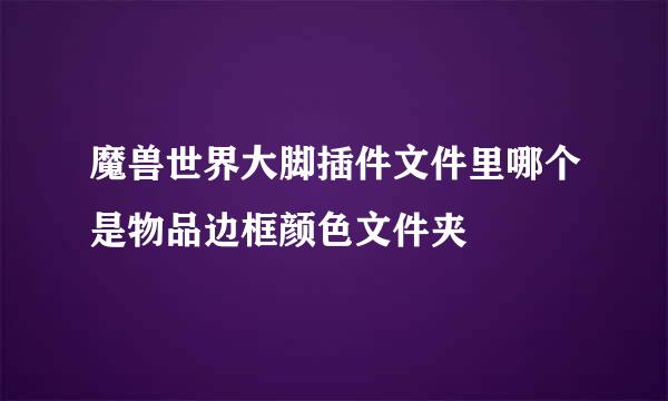 魔兽世界大脚插件文件里哪个是物品边框颜色文件夹