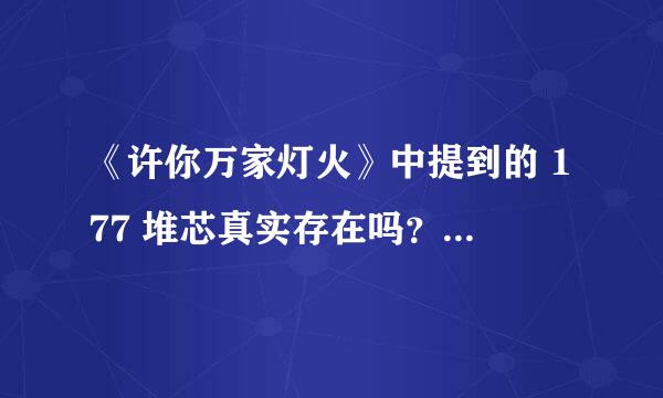 《许你万家灯火》中提到的 177 堆芯真实存在吗？它先进在哪里？