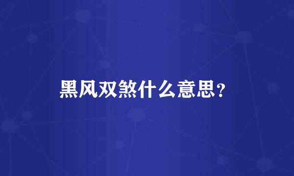 黑风双煞什么意思？