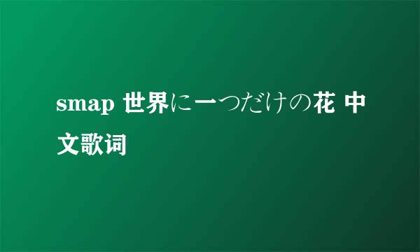 smap 世界に一つだけの花 中文歌词