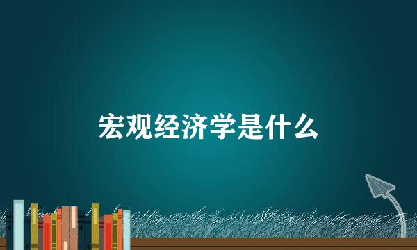 宏观经济学是什么