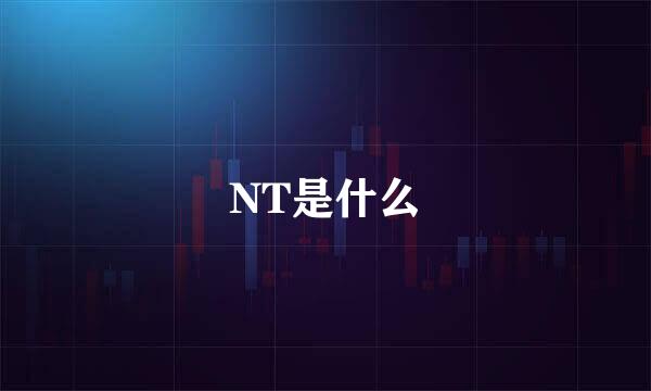 NT是什么