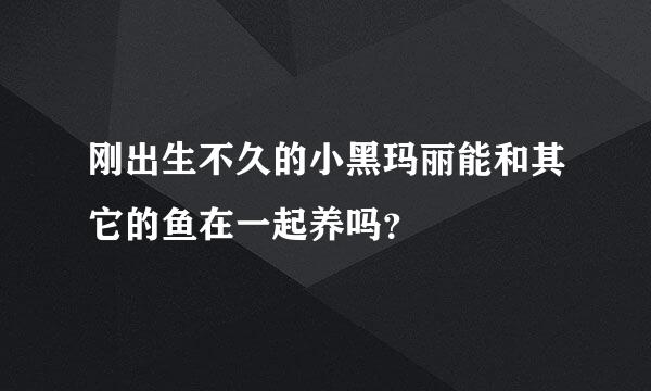 刚出生不久的小黑玛丽能和其它的鱼在一起养吗？