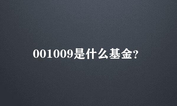 001009是什么基金？