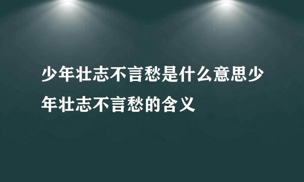 少年壮志不言愁是什么意思少年壮志不言愁的含义