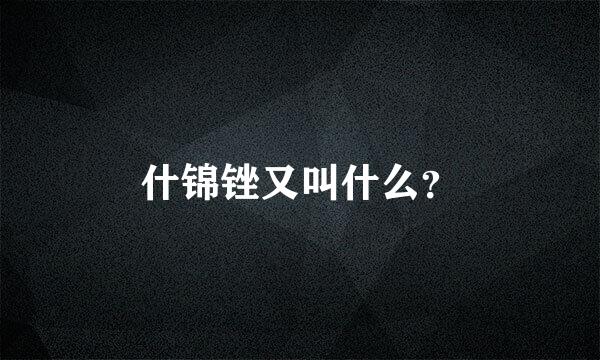 什锦锉又叫什么？