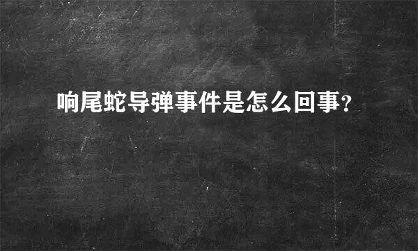 响尾蛇导弹事件是怎么回事？