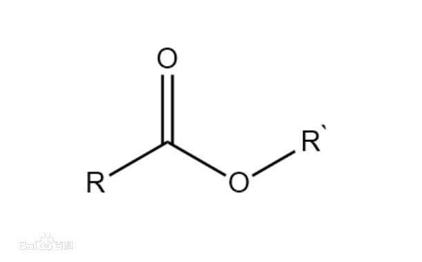 酯的化学式