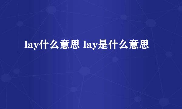 lay什么意思 lay是什么意思