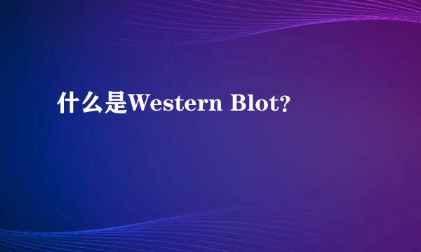 什么是Western Blot？