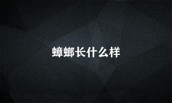 蟑螂长什么样