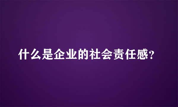 什么是企业的社会责任感？