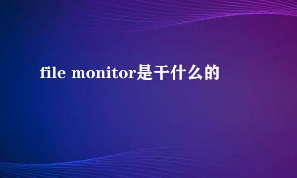 file monitor是干什么的