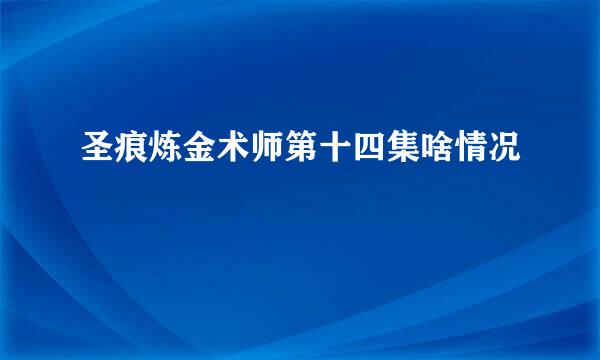 圣痕炼金术师第十四集啥情况