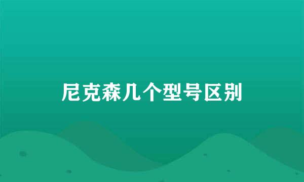 尼克森几个型号区别