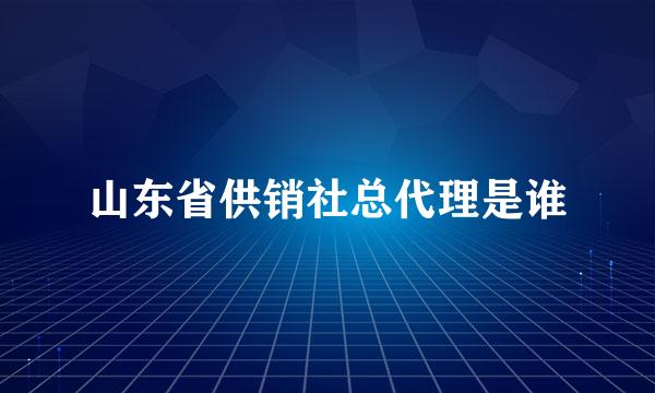 山东省供销社总代理是谁