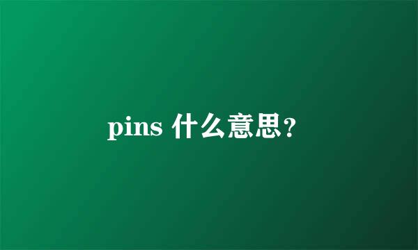 pins 什么意思？