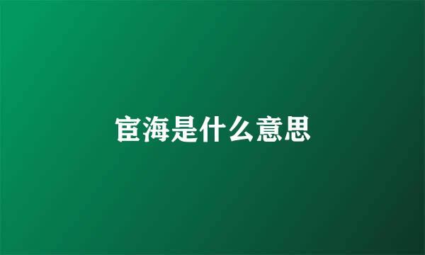 宦海是什么意思