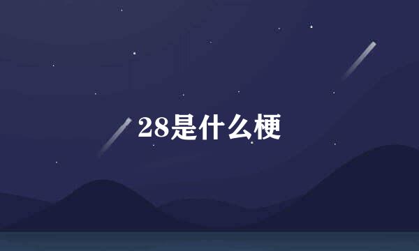 28是什么梗