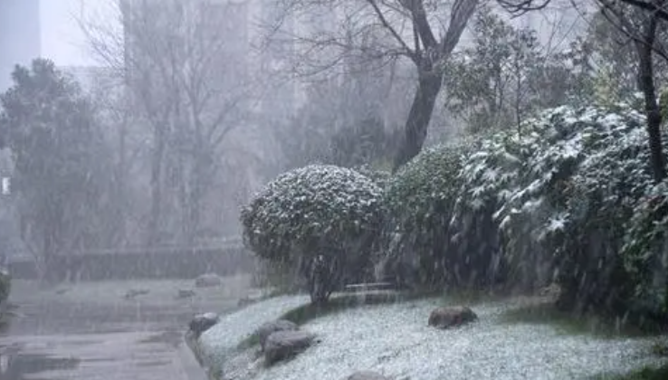 什么是雨夹雪天气