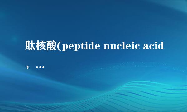 肽核酸(peptide nucleic acid，PNA)