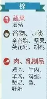 补锌吃什么药