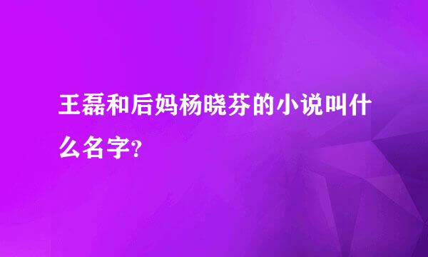 王磊和后妈杨晓芬的小说叫什么名字？