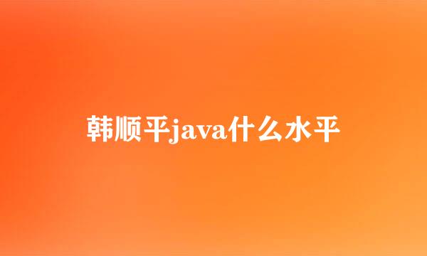 韩顺平java什么水平