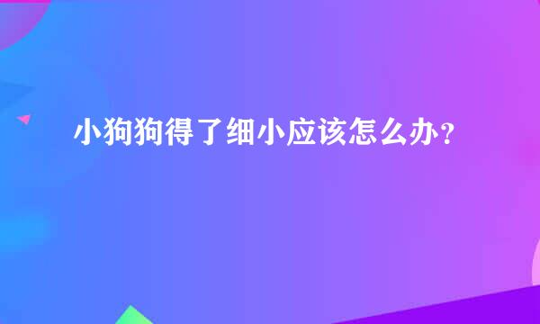 小狗狗得了细小应该怎么办？