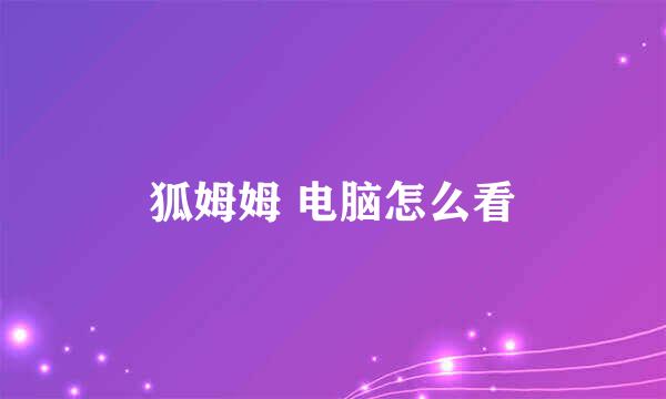 狐姆姆 电脑怎么看