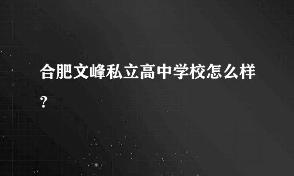 合肥文峰私立高中学校怎么样？