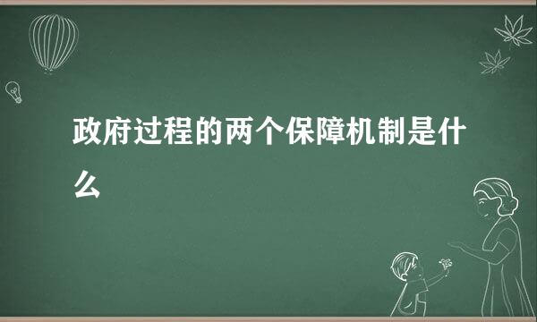 政府过程的两个保障机制是什么