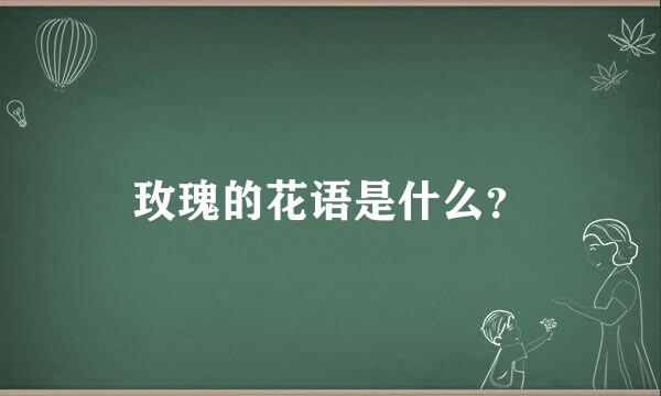 玫瑰的花语是什么？