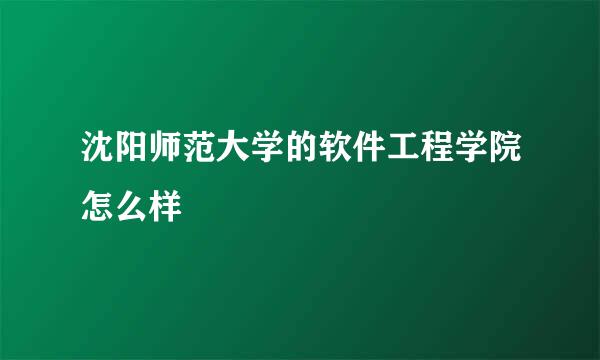 沈阳师范大学的软件工程学院怎么样