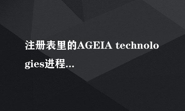 注册表里的AGEIA technologies进程是什么意思?