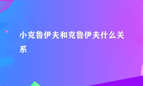 小克鲁伊夫和克鲁伊夫什么关系