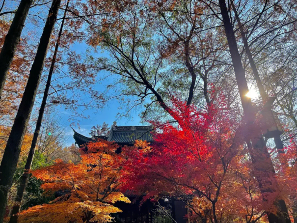 南京景点排行榜前十名