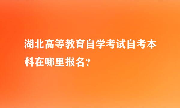 湖北高等教育自学考试自考本科在哪里报名？