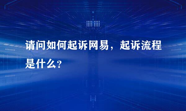 请问如何起诉网易，起诉流程是什么？